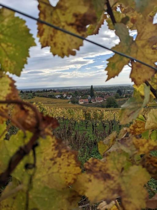 Le Kelsch, Loft Duplex 130M2 Avec Sauna, Proche Vignoble Marlenheim Eksteriør bilde